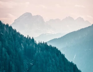 桑切斯造点，阿贾克斯遭遇阿森纳逆转