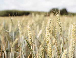 选手们在比赛场上挥洒汗水，超越自我——热血赛场的每一次跃动
